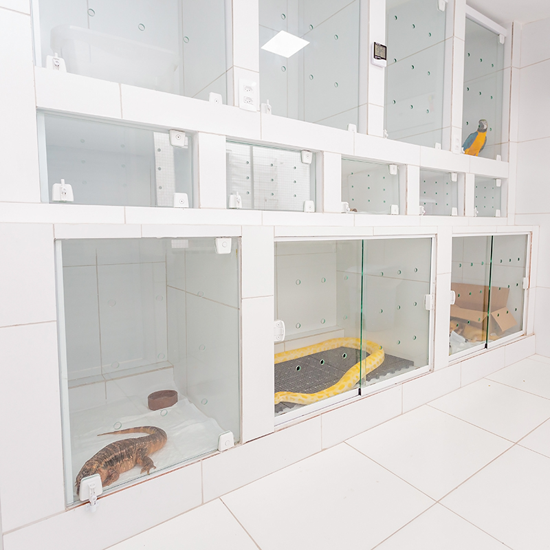 Área de internamento