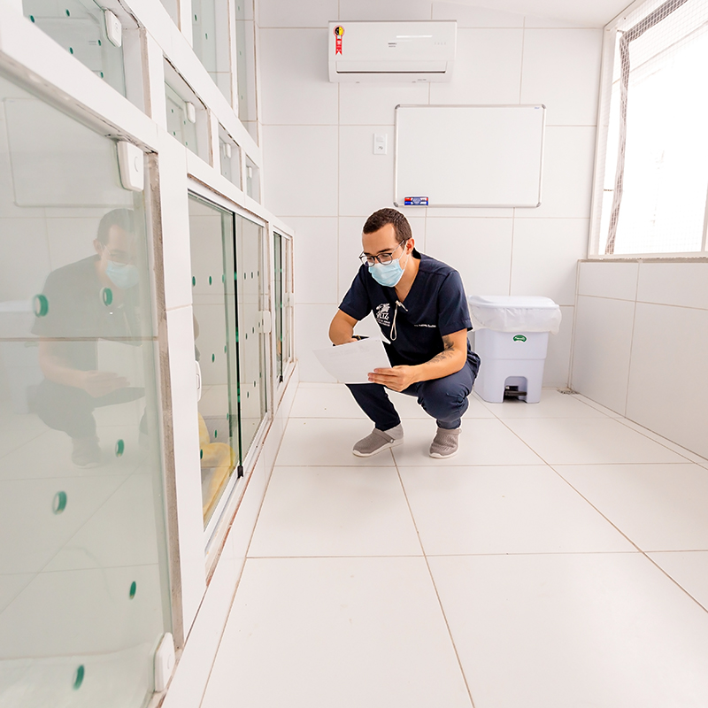 Área de internamento